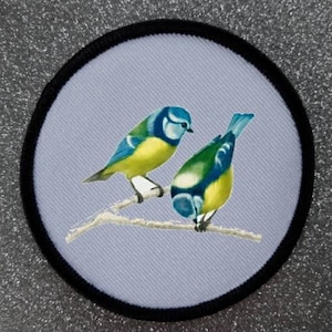 Peut inclure: Deux mésanges bleues avec le ventre jaune et les ailes bleues sont perchées sur une branche. Les oiseaux se font face et ont le bec ouvert comme s'ils chantaient.