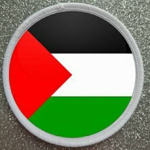 Puede incluir: Un parche circular blanco con un diseño de bandera palestina roja, blanca, negra y verde.