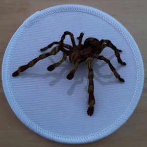 3 inch Spider Iron or Sew on Patch Badge