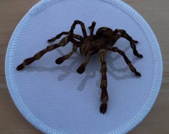 3 inch Spider Iron or Sew on Patch Badge