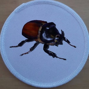 May include: A white round patch with a brown and black beetle with a large horn on its head.