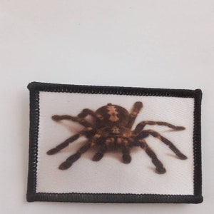 May include: A brown and black spider with hairy legs is printed on a white patch with a black border. The patch is a sew-on iron-on patch.