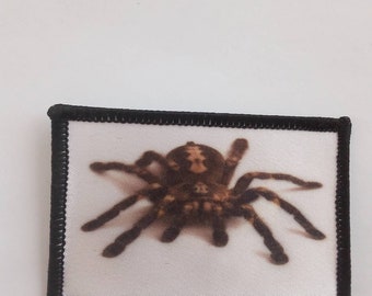Spider 3 inch Patch Badge