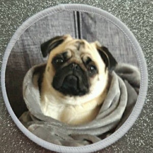 3 Inch Pug Dog patch badge