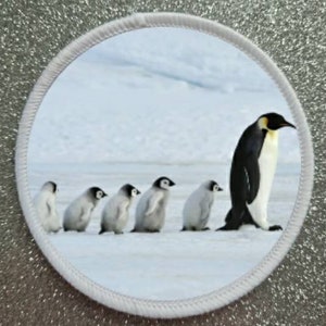 Könnte beinhalten: Eine Gruppe von fünf Pinguinen, darunter ein großer erwachsener Pinguin, geht über eine schneebedeckte Landschaft. Die Pinguine sind alle schwarz-weiß mit orangefarbenen Schnäbeln. Der erwachsene Pinguin ist hinten, und die vier kleineren Pinguine sind in einer Reihe davor.