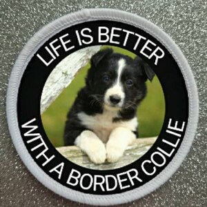 Może przedstawiać: Czarno-białe szczenię border collie siedzące na gałęzi z tekstem "Life is better with a border collie" w czarnym kółku na białym tle.