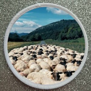May include: A large flock of sheep are huddled together on a paved road in a rural setting. The sheep are mostly white with some black markings. The road is surrounded by green grass and trees. The sky is blue with white clouds.