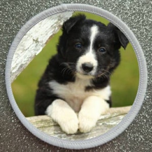 3 Inch Puppy Border Collie Dog Patch Badge.