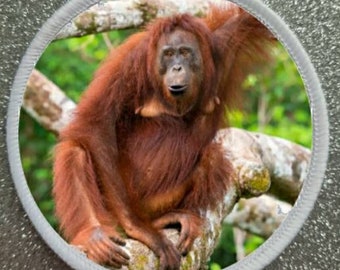 Insignia del parche del orangután de especies en peligro de extinción de 3 pulgadas