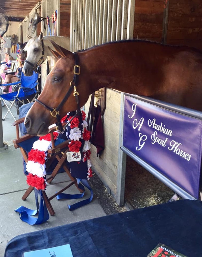 Horse Stall Guard Custom Print Etsy