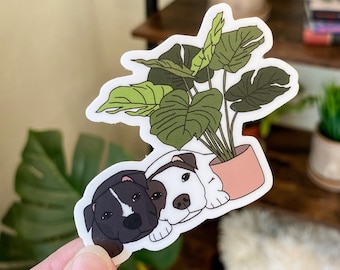 Black and White Pittie Pair with Monstera Plant Vinyl Sticker