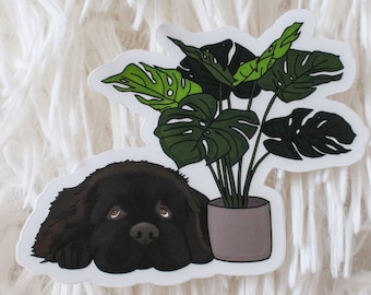 Newfoundland Monstera Vinyl Sticker | Newfie Sticker | Monstera Sticker | Plant Stickers | Newfoundland Vinyl Sticker