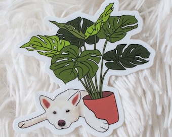 Jindo Monstera Vinyl Sticker | Jindo Sticker | Monstera Sticker | Plant Stickers | Korean Jindo Vinyl Sticker