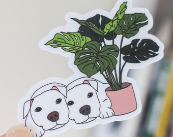 Pitbull Pair con Monstera Plant Vinyl Sticker