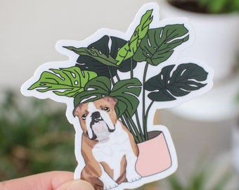 English Bulldog Monstera Vinyl Sticker | Bulldog Sticker | Monstera Sticker | Plant Stickers | English Bulldog Vinyl Sticker