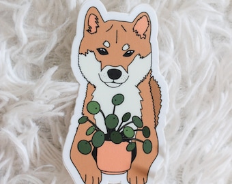 Shiba Pilea Vinyl Sticker | Shiba Inu Sticker | Pilea Peperomioides Sticker | Plant Vinyl Sticker | Chinese Money Plant Sticker | Houseplant