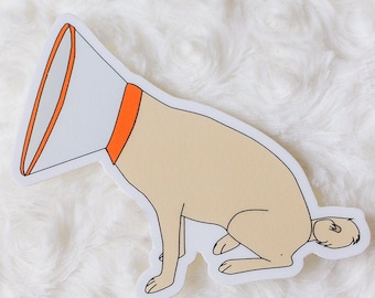 Cone of Shame Vinyl Sticker