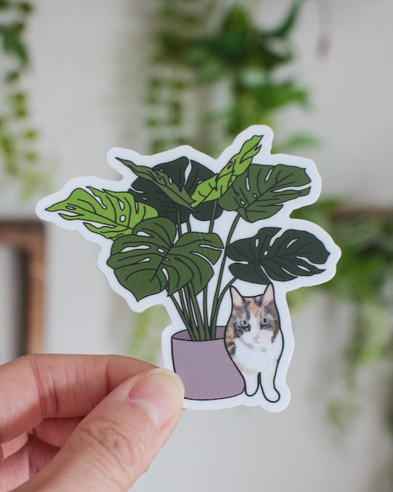 Adesivo in vinile Calico Cat e Monstera Plant - Etsy Italia