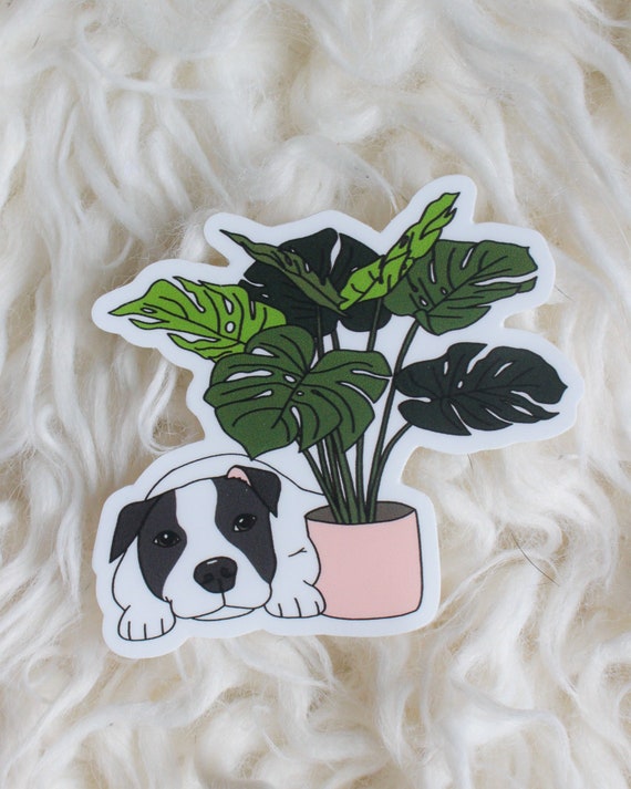 Black and White Pittie Monstera Plant Vinyl Sticker - Etsy