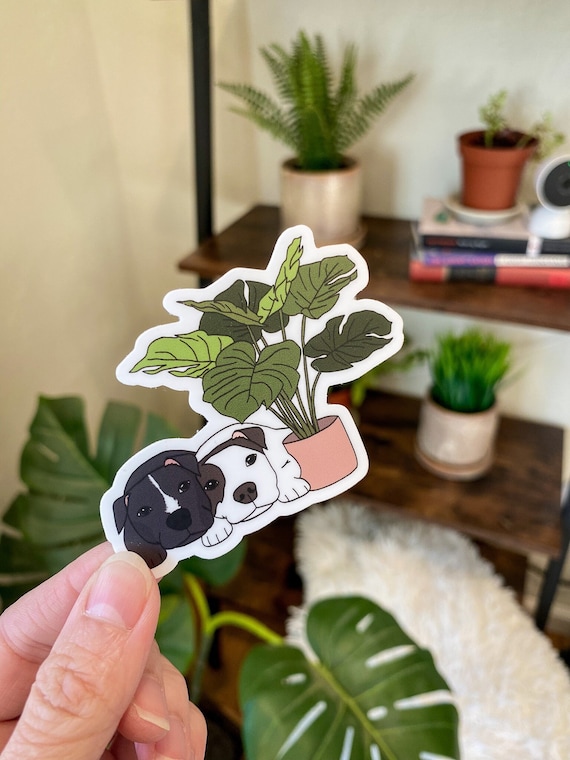 Black and White Pittie Pair With Monstera Plant Vinyl Sticker - Etsy