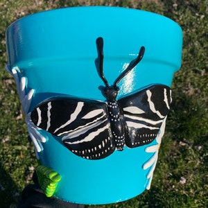 May include: A turquoise ceramic planter with a black and white butterfly painted on the front. The butterfly has white stripes and black dots. The planter is decorated with white daisies.