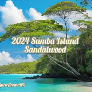 Sumba Island sandalwood oil (Santalum Album)