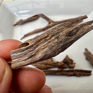 Assam / Bhutan boarder Agarwood