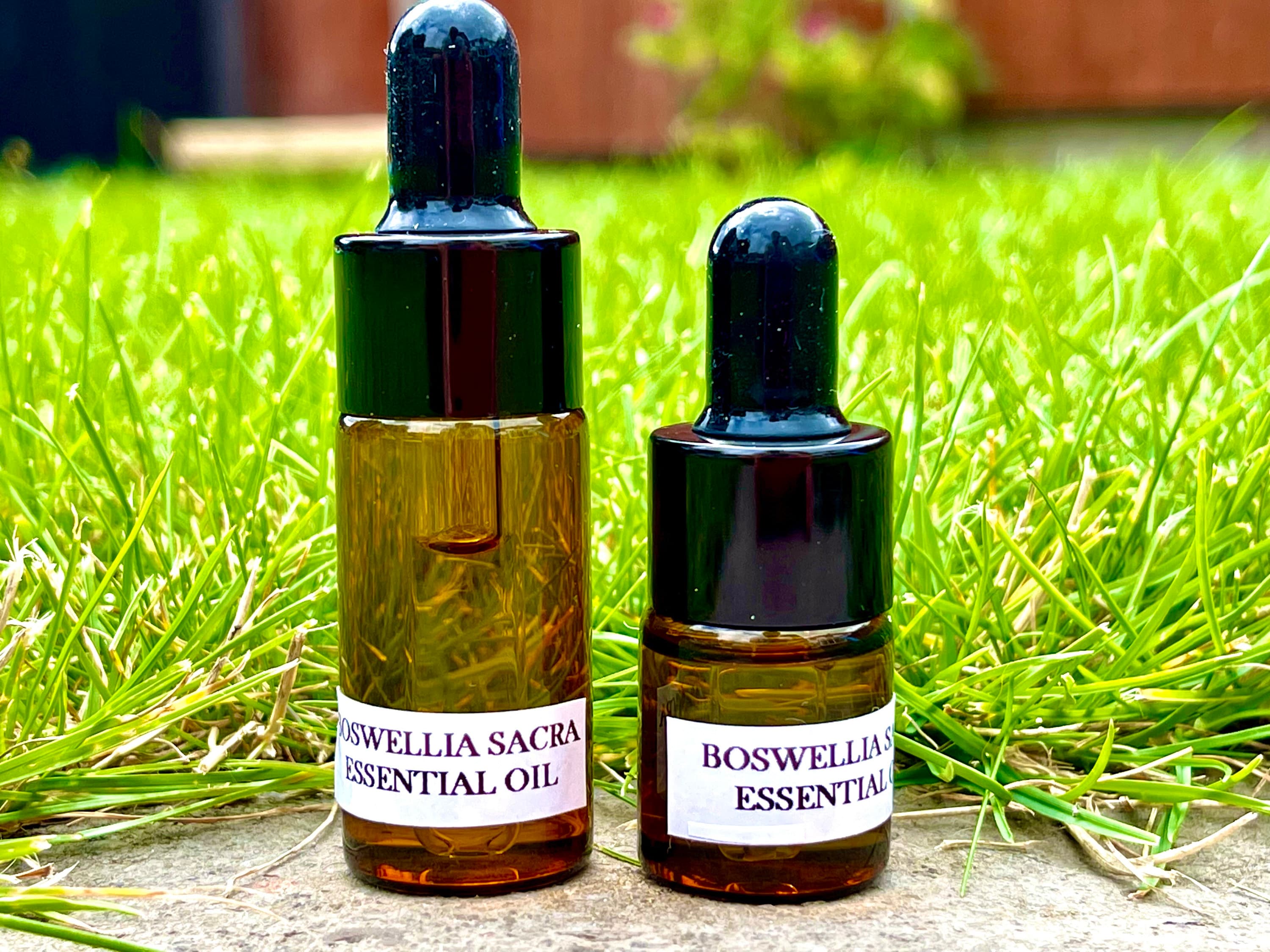 Boswellia frereana - Etsy 日本