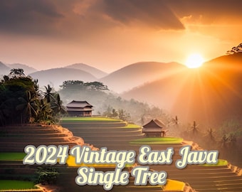 2024 Single Tree Vintage East Java Sandalwood Oil (Santalum Album)