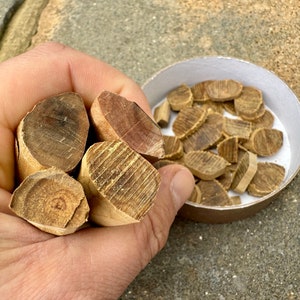 Può includere: Una mano tiene un fascio di quattro bastoncini di legno marroni, mentre un contenitore bianco pieno di pezzi di legno simili ma più piccoli e piatti si trova su una superficie grigia.