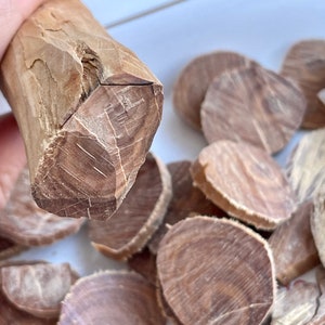 Könnte beinhalten: Nahaufnahme eines Stückes Holz, das in dünne Scheiben geschnitten wurde. Das Holz ist hellbraun und hat eine raue Textur. Die Scheiben liegen auf einer weißen Oberfläche in einem Stapel.