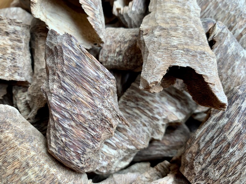 Cultivated Vietnamese Agarwood Oud Chips Medium Resin Etsy