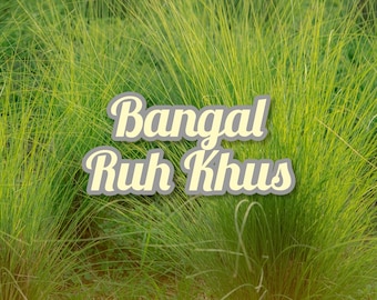 2024 Vetiver salvaje de Bengala Ruh Khus