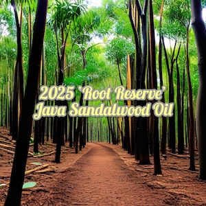 Op de afbeelding: Een pad slingert door een dicht bos van lange, slanke bomen met groene bladeren. De grond is bedekt met bruine aarde. De tekst op de afbeelding luidt "2025 Root Reserve Java Sandalwood Oil."