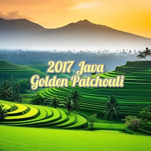2017 Java Artisan Golden Patchouli EO