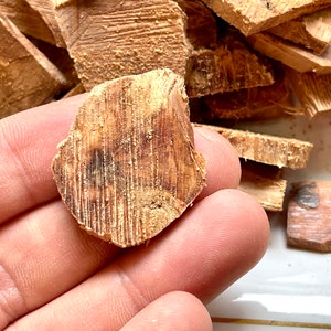 Puede incluir: Un primer plano de un trozo de corteza de madera marrón claro con una textura rugosa. La corteza se sostiene en una mano.