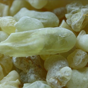 Pode incluir: Close-up de um monte de peda&ccedil;os de resina amarelo p&aacute;lido, de forma irregular. As pe&ccedil;as t&ecirc;m um aspeto ligeiramente transl&uacute;cido e uma superf&iacute;cie texturizada. A imagem destaca as varia&ccedil;&otilde;es naturais de cor e forma da resina.