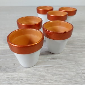 May include: Six small terracotta pots with white paint and a copper-coloured rim. The pots are arranged in a semi-circle on a light wood surface.