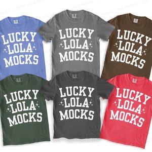 以下が含まれることがあります： 青、グレー、茶色、緑、濃いグレー、赤の6色の半袖Tシャツ。各シャツには、白い文字で「LUCKY LOLA MOCKS」とカレッジ風のフォントで書かれています。