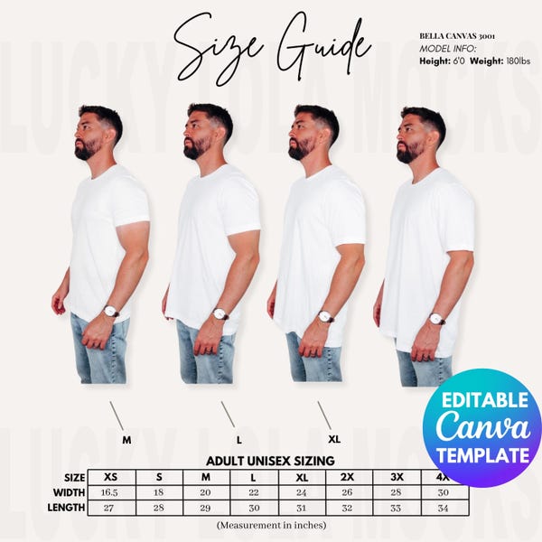 Editable Bella Canvas 3001 Size Chart for Men, 3001 Mens Mockup, Bella Canvas Size Chart Male, 3001 Size Guide, Male Shirt Mockup