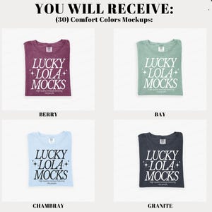 Pacchetto di mockup Comfort Colors 1717, 1717 Flat Lay Mockup, Pacchetto di mockup c1717, Pacchetto di mockup Comfort Colors Flat Lay, 1717 Mockup immagine 5