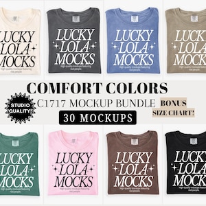 Pacchetto di mockup Comfort Colors 1717, 1717 Flat Lay Mockup, Pacchetto di mockup c1717, Pacchetto di mockup Comfort Colors Flat Lay, 1717 Mockup immagine 1