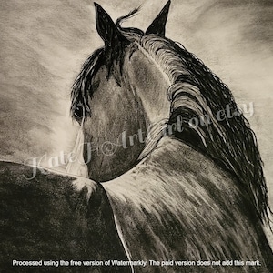 download digitale di #arte a carboncino, CAVALLO, un regalo fantastico per gli amanti degli equini, stampa su tela #conveniente