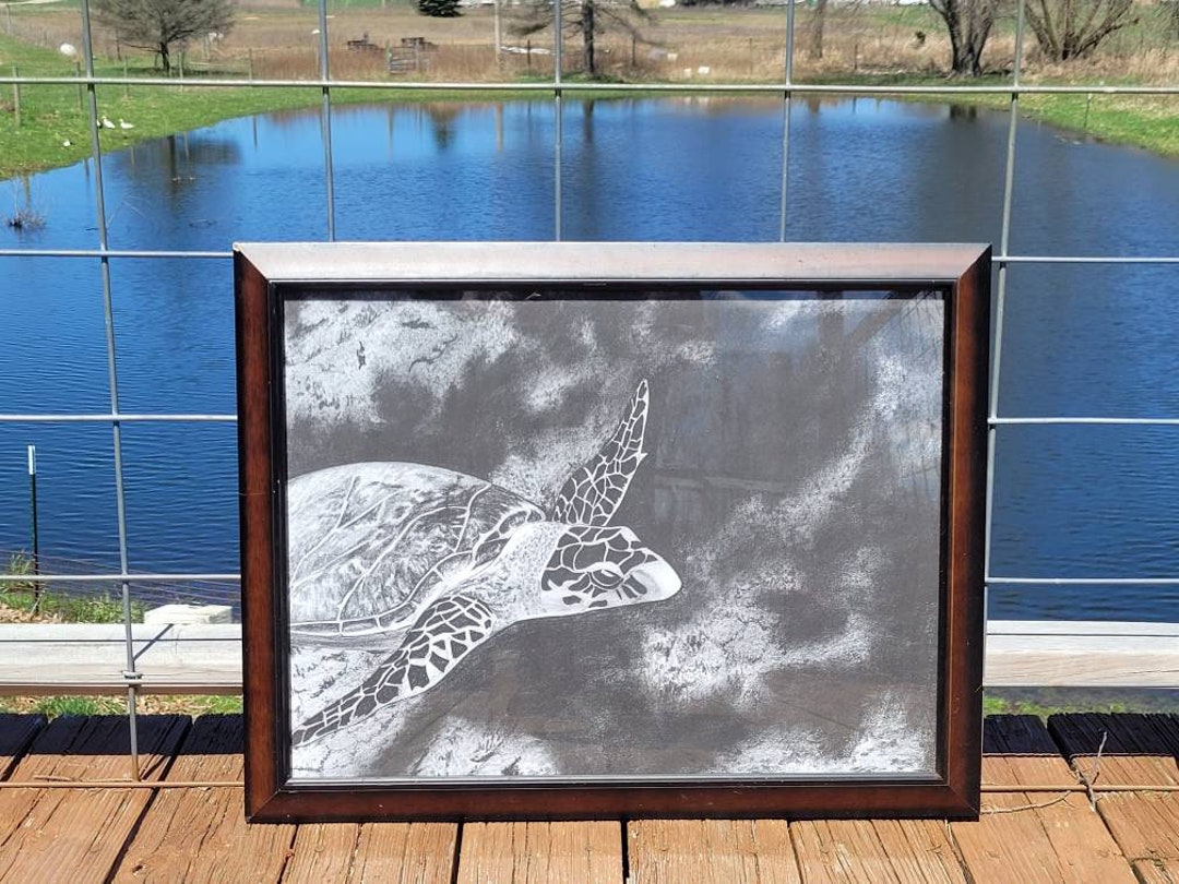 Original Charcoal Drawing Sea Turtle Art for Home or Office Etsy