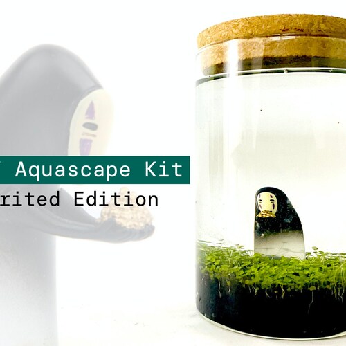 DIY Aqua Terrarium Kit Includes Figurine Glass Tube Soil Etsy