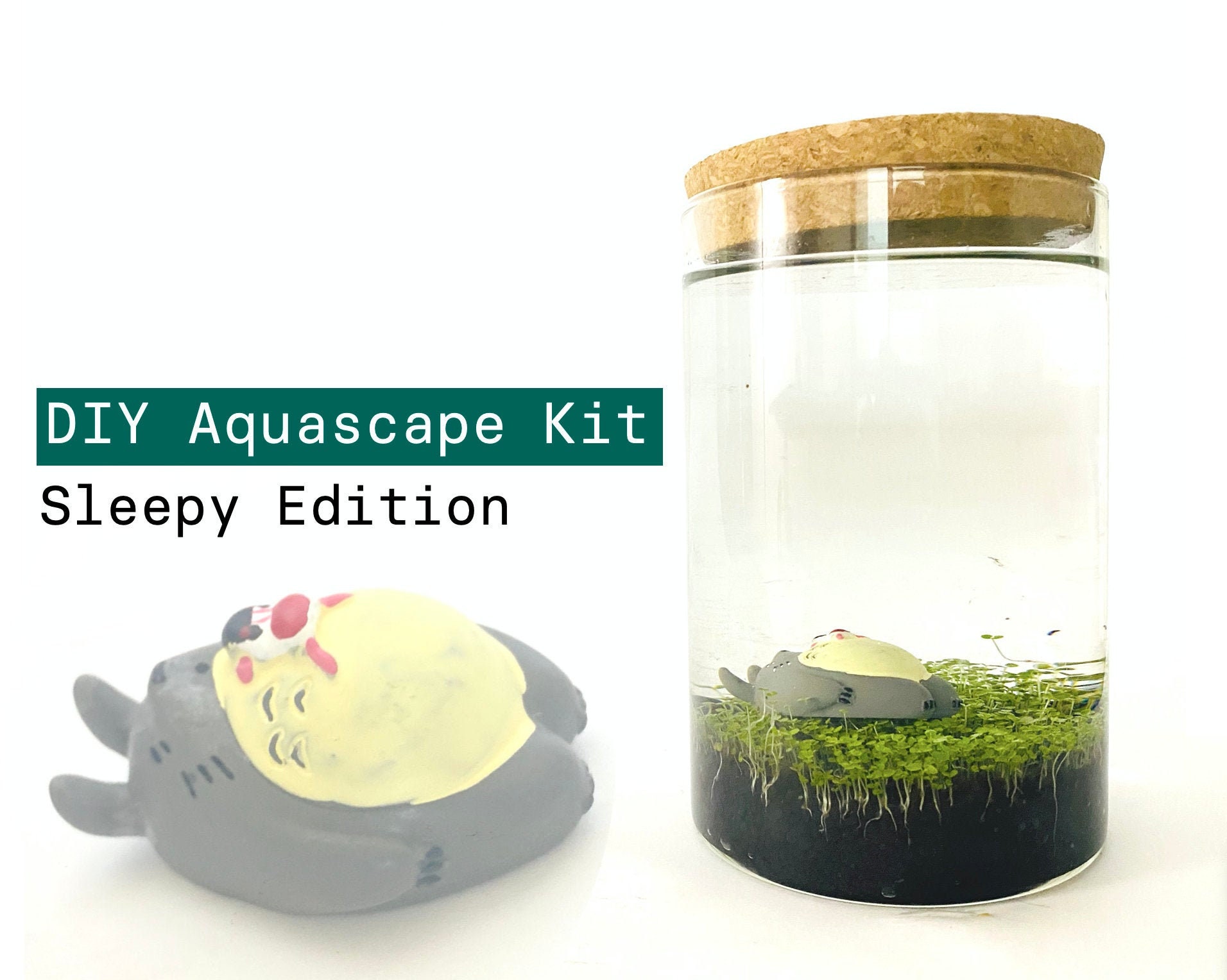 DIY Aqua Terrarium Kit Includes Figurine Glass Tube Soil Etsy