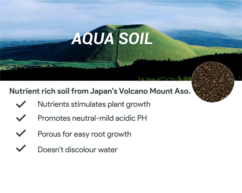 DIY Aqua Terrarium Kit Includes Figurine Glass Tube Soil Etsy