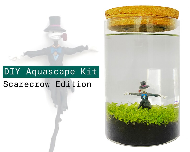 DIY Aqua Terrarium Kit Includes Figurine Glass Tube Soil Etsy