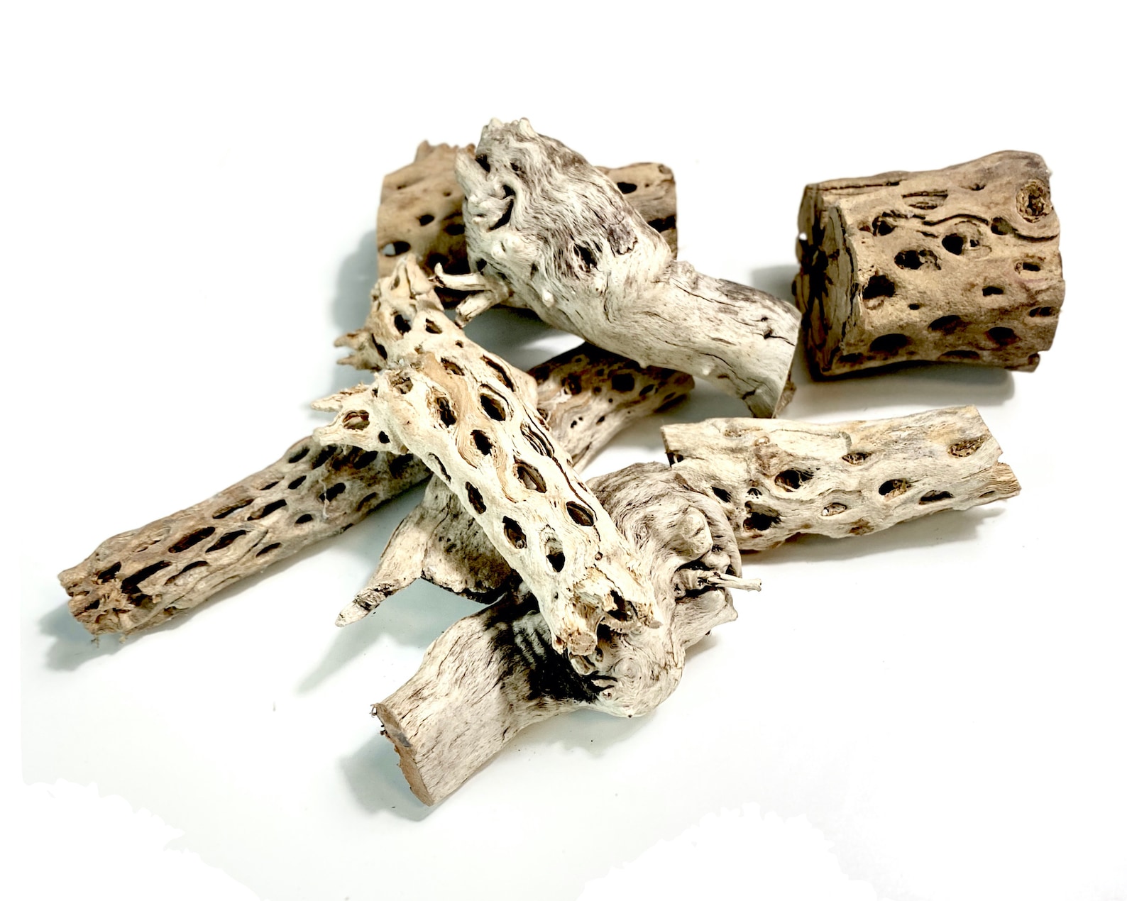 Cholla Wood Aquarium decoration cactus dried Nevada drift Etsy