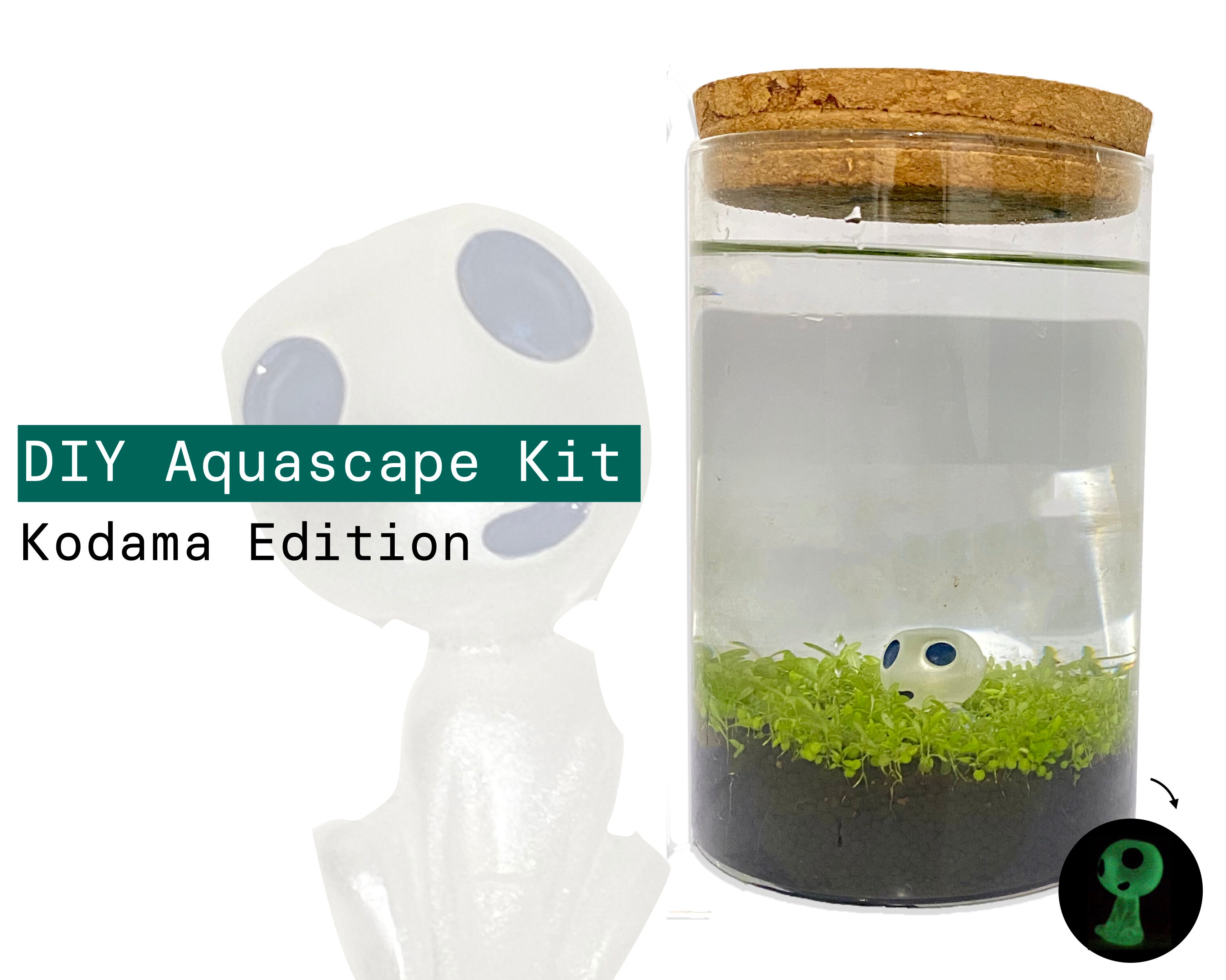 DIY Aqua Terrarium Kit Includes Figurine Glass Tube Soil Etsy Australia